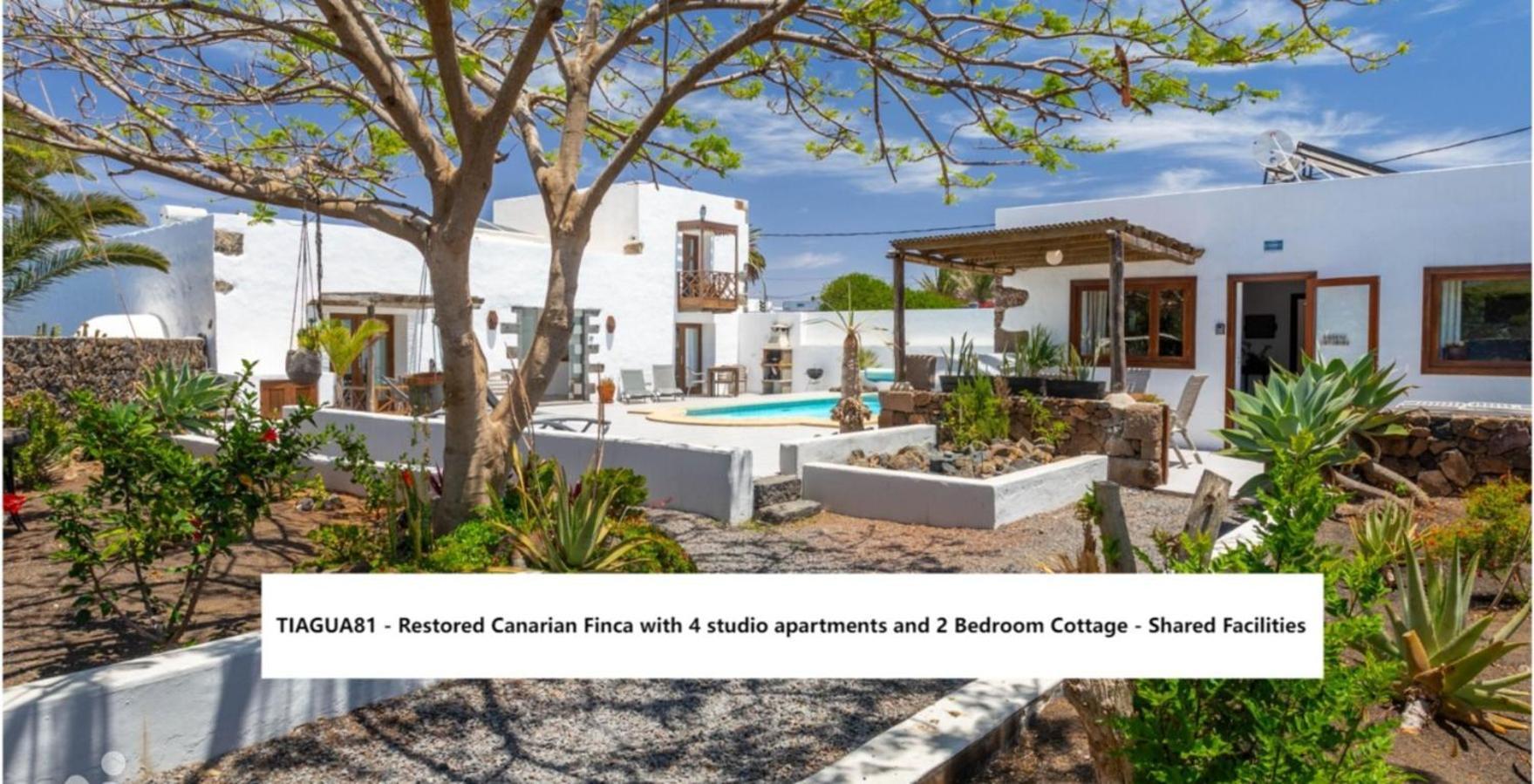 Cuarto Botanico Studio - Shared Pool - Central Island Location - 10 Mins Drive To Famara And La Santa Tiagua ภายนอก รูปภาพ